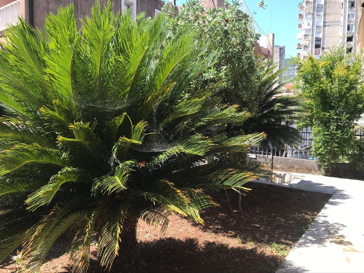 伊加洛Julija 1公寓 外观 照片